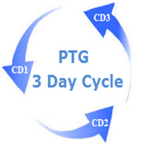 PTG 3 Day Cycle